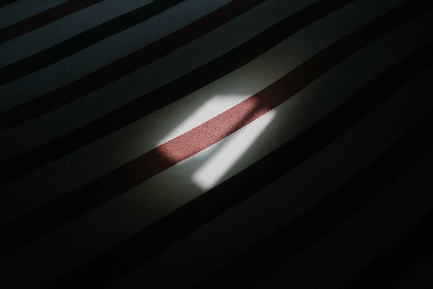 《2077》作品 43