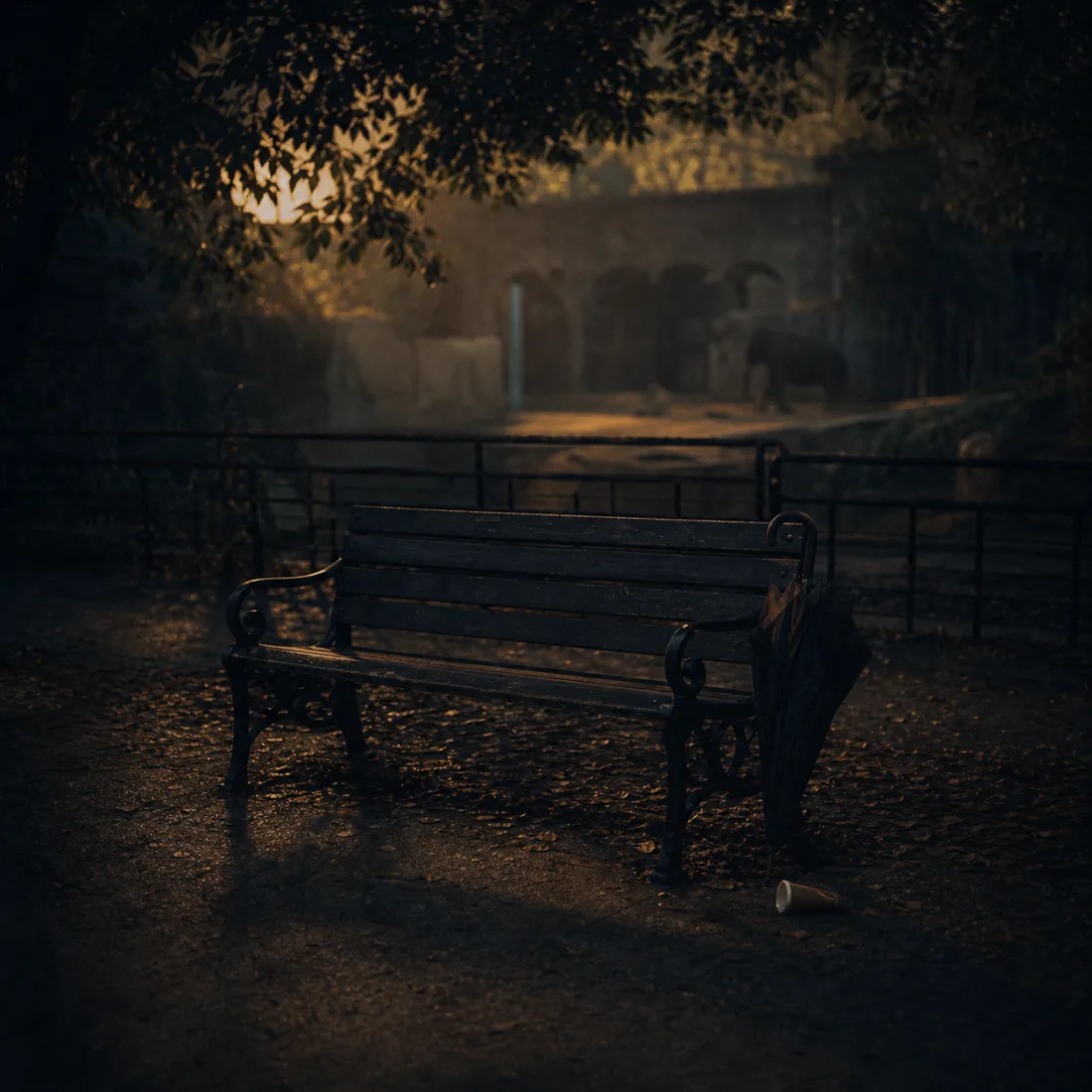 Empty Zoo Bench